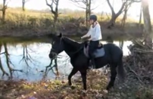 1HORSE APPROACHING WATER