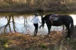 3HORSE GIRL SHOWING WATER CIRCLES